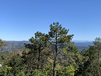 Collobrières